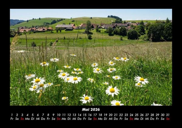 Produktbild: Blumentr&auml;ume 2026 Fotokalender DIN A3