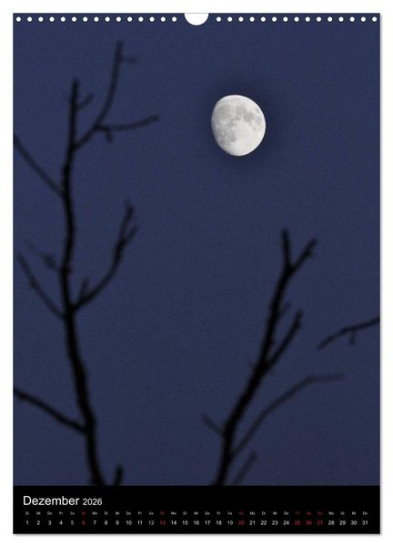 Produktbild: Wunderbarer Spreewald (Wandkalender 2026 DIN A3 hoch), CALVENDO Monatskalender