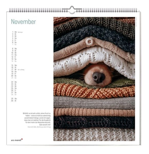 Produktbild: Der gro&szlig;e literarische Hunde Kalender 2027