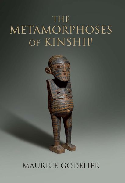 Produktbild: The Metamorphoses of Kinship
