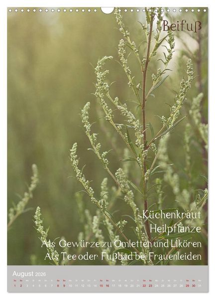 Produktbild: Unkr&auml;uter - N&uuml;tzliche Wildpflanzen auf der Wiese (Wandkalender 2026 DIN A3 hoch), CALVENDO Monatskalender