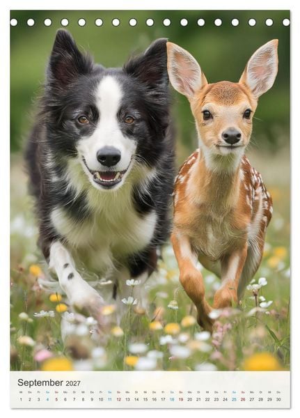 Produktbild: Tierfreunde f&uuml;rs Herz (Tischkalender 2027 DIN A5 hoch), CALVENDO Monatskalender