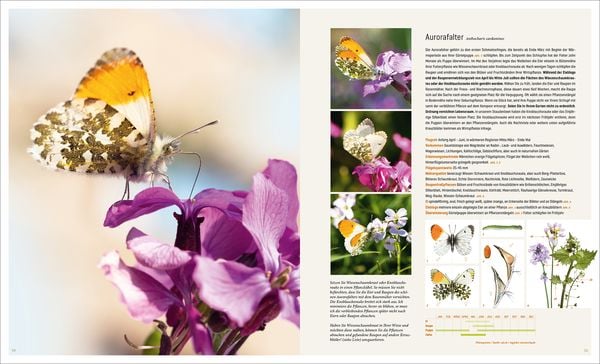 Produktbild: Mein Artenretter Garten