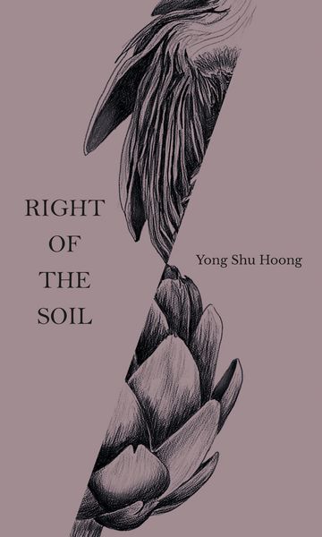 Produktbild: Right of the Soil
