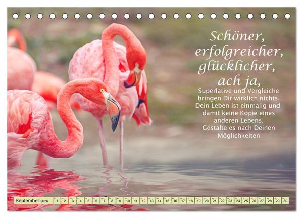 Produktbild: Spruchkalender - schau rein (Tischkalender 2026 DIN A5 quer), CALVENDO Monatskalender