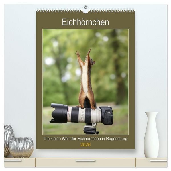 Produktbild: Die kleine Welt der Eichh&ouml;rnchen in Regensburg (hochwertiger Premium Wandkalender 2026 DIN A2 hoch), Kunstdruck in Hochglanz