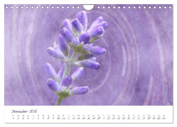 Produktbild: Lila Bl&uuml;ten (Wandkalender 2026 DIN A4 quer), CALVENDO Monatskalender