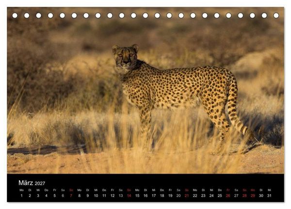 Produktbild: Wundersch&ouml;nes Namibia (Tischkalender 2027 DIN A5 quer), CALVENDO Monatskalender