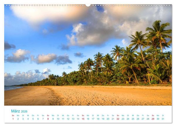 Produktbild: Unter Palmen 2026. Impressionen von den sch&ouml;nsten Str&auml;nden der Welt (hochwertiger Premium Wandkalender 2026 DIN A2 quer), Kunstdruck in Hochglanz