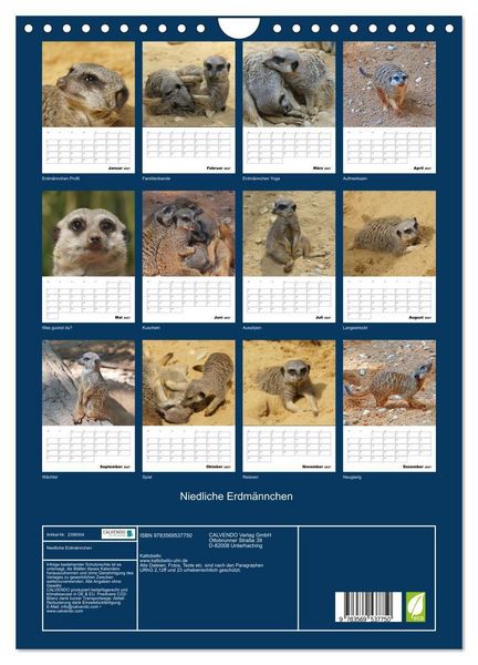 Produktbild: Niedliche Erdm&auml;nnchen (Wandkalender 2027 DIN A4 hoch), CALVENDO Monatskalender
