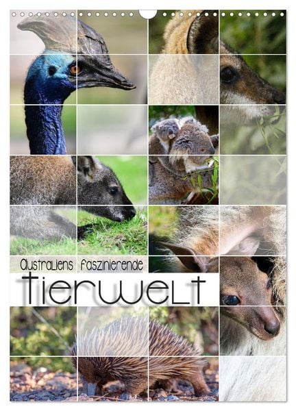 Produktbild: Australiens faszinierende Tierwelt (Wandkalender 2026 DIN A3 hoch), CALVENDO Monatskalender