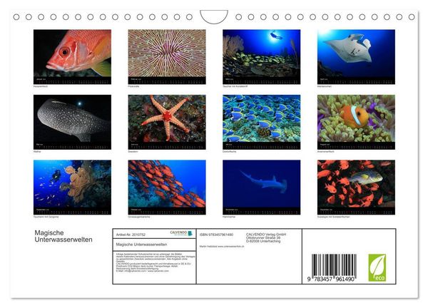 Produktbild: Magische Unterwasserwelten (Wandkalender 2026 DIN A4 quer), CALVENDO Monatskalender