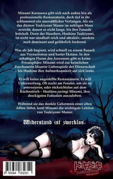 Produktbild: Hentai: House of Horny Souls