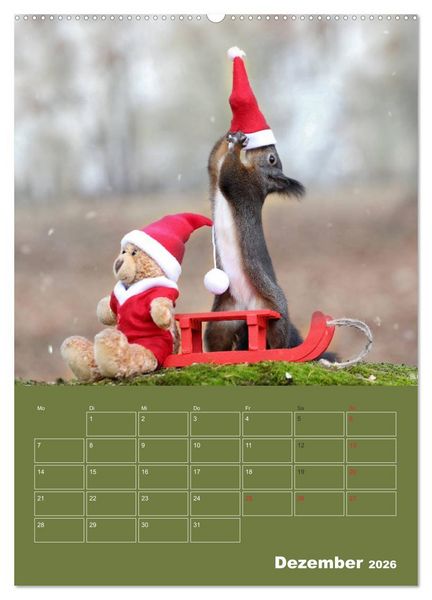 Produktbild: Eichh&ouml;rnchen - Abenteuer mit Freund Teddy (Wandkalender 2026 DIN A2 hoch), CALVENDO Monatskalender