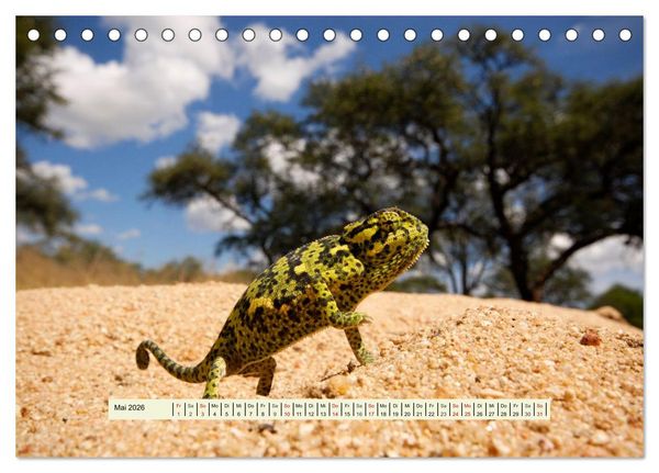 Produktbild: Reptilien des s&uuml;dlichen Afrikas (Tischkalender 2026 DIN A5 quer), CALVENDO Monatskalender