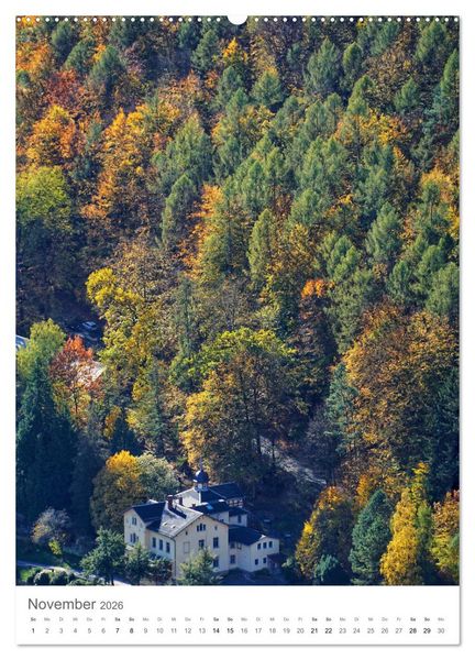 Produktbild: Wald - bezaubernde Landschaften (hochwertiger Premium Wandkalender 2026 DIN A2 hoch), Kunstdruck in Hochglanz