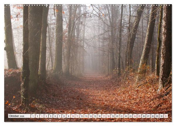 Produktbild: G&ouml;ttererwachen. Die Natur im mystischen Nebel (Wandkalender 2026 DIN A2 quer), CALVENDO Monatskalender