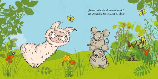 Das Alpaka muss Kacka