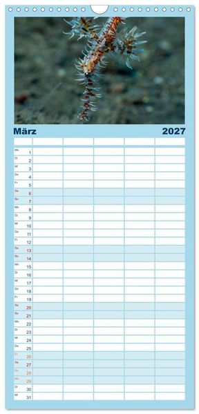 Produktbild: Familienplaner 2027 - Faszination blaue Unterwasserwelt mit 5 Spalten (Wandkalender, 21 x 45 cm) CALVENDO