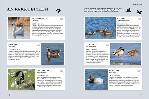 Produktbild: Das Buch der Gartenv&ouml;gel