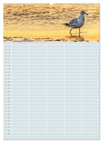 Produktbild: Kleine Sand-Sch&ouml;nheiten / Familienplaner (Wandkalender 2026 DIN A2 hoch), CALVENDO Monatskalender