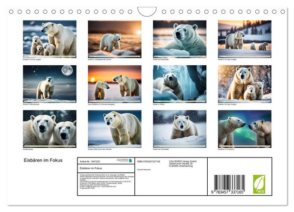 Produktbild: Eisb&auml;ren im Fokus (Wandkalender 2026 DIN A4 quer), CALVENDO Monatskalender