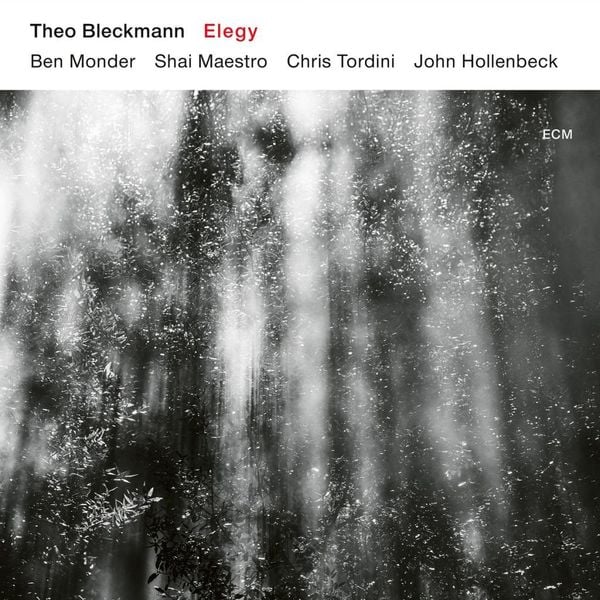 Produktbild: Elegy