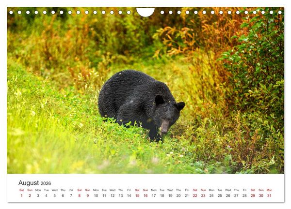 Produktbild: Yukon Wild (Wall Calendar 2026 DIN A4 landscape), CALVENDO 12 Month Wall Calendar