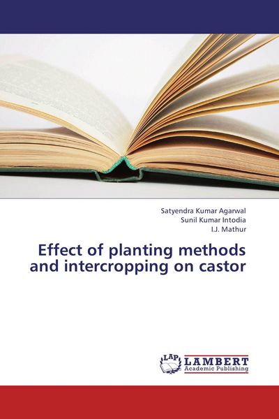 Produktbild: Effect of planting methods and intercropping on castor