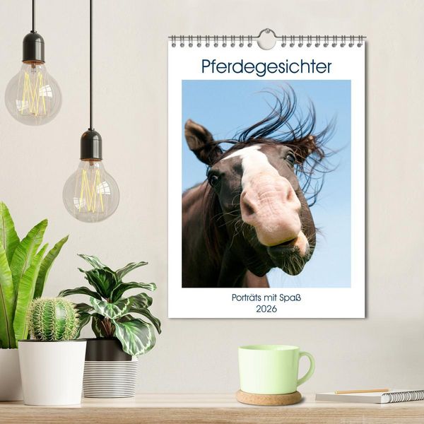 Produktbild: Pferdegesichter - Portr&auml;ts mit Spa&szlig; (Wandkalender 2026 DIN A4 hoch), CALVENDO Monatskalender