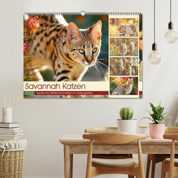 Produktbild: Savannah Katzen. Exotische Wildsch&ouml;nheiten im Naturgarten (Wandkalender 2026 DIN A2 quer), CALVENDO Monatskalender