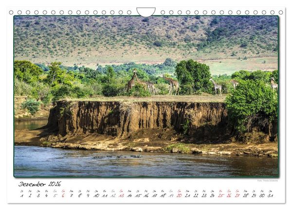 Produktbild: Abenteuer Masai Mara (Wandkalender 2026 DIN A4 quer), CALVENDO Monatskalender