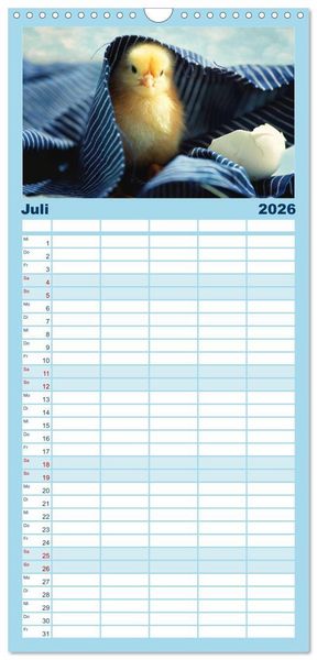 Produktbild: Familienplaner 2026 - K&uuml;ken in der Kinderstube mit 5 Spalten (Wandkalender, 21 x 45 cm) CALVENDO