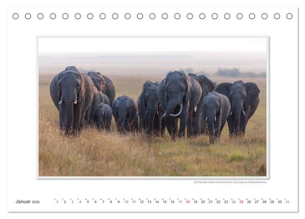 Produktbild: Emotionale Momente: Aus dem Leben der Elefanten. / CH-Version (Tischkalender 2026 DIN A5 quer), CALVENDO Monatskalender