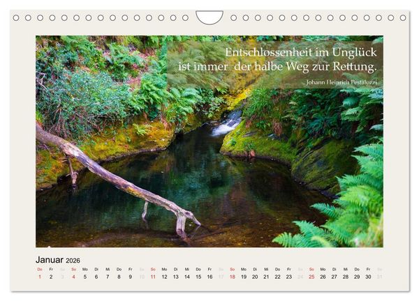 Produktbild: Hirnyoga (Wandkalender 2026 DIN A4 quer), CALVENDO Monatskalender