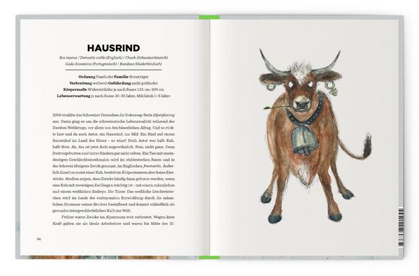 Produktbild: Queere Tiere