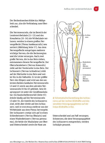 Produktbild: Der R&uuml;cken-Doc: Hexenschuss und Ischias