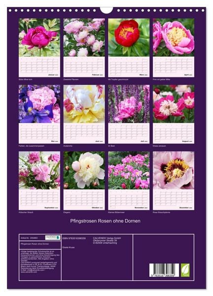 Produktbild: Pfingstrosen Rosen ohne Dornen (Wandkalender 2026 DIN A3 hoch), CALVENDO Monatskalender