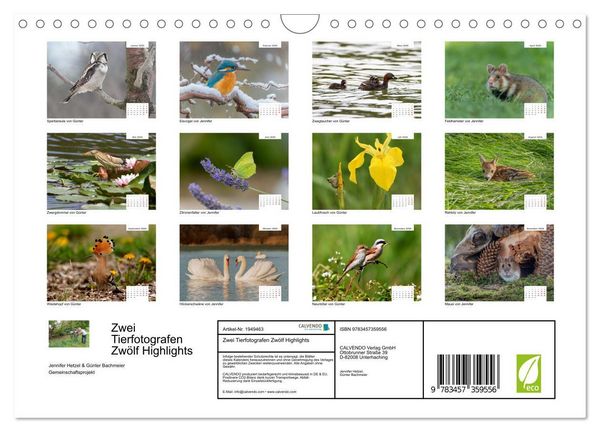 Produktbild: Zwei Tierfotografen Zw&ouml;lf Highlights (Wandkalender 2026 DIN A4 quer), CALVENDO Monatskalender