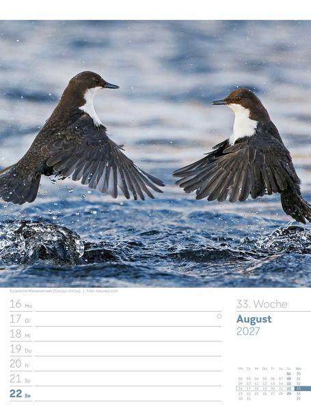 Produktbild: V&ouml;gel Wochenplaner Kalender 2027