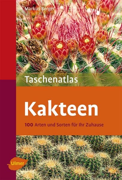 Produktbild: Kakteen
