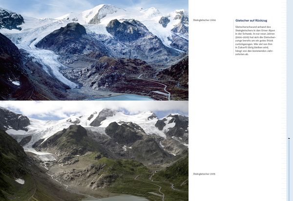 Produktbild: Die Alpen im Fieber