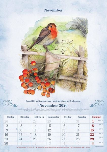 Produktbild: 100-jähriger Kalender 2026 - Bildkalender A3 (29,7x42 cm) - mit Feiertagen (DE/AT/CH) und Platz für Notizen - inkl. Bauernregeln - Wandkalender