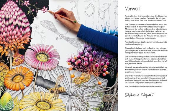 Produktbild: Geheimnisvolle Natur