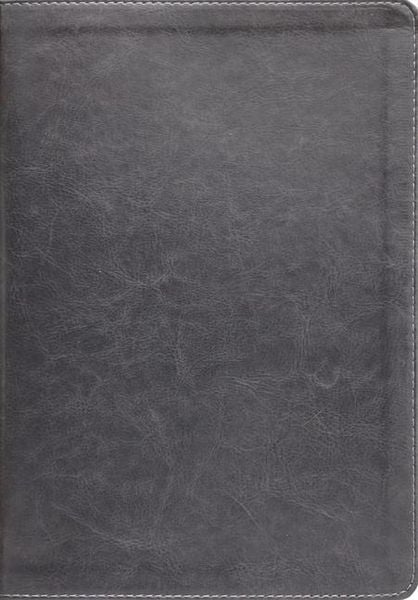 Produktbild: Esv, Thompson Chain-Reference Bible, Leathersoft, Gray, Red Letter, Thumb Indexed