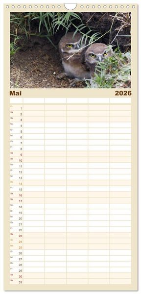 Produktbild: Familienplaner 2026 - Eulen. Gefiederte Weisheit mit 5 Spalten (Wandkalender, 21 x 45 cm) CALVENDO
