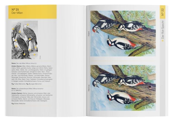 Produktbild: Finde den Fehler &ndash; 40 Meisterwerke der Vogel-Malerei