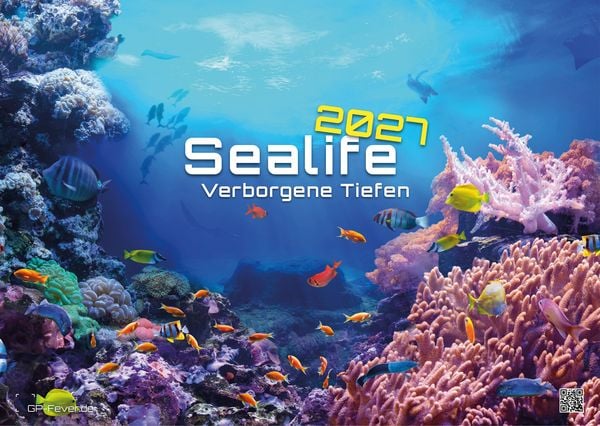 Produktbild: Sealife - verborgene Tiefen - 2027 - Kalender DIN A3