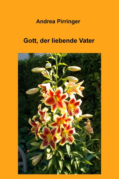 Produktbild: Gott, der liebende Vater