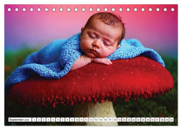 Produktbild: Zauberhaft schlafende Babies - Ruhig und friedlich (Tischkalender 2026 DIN A5 quer), CALVENDO Monatskalender